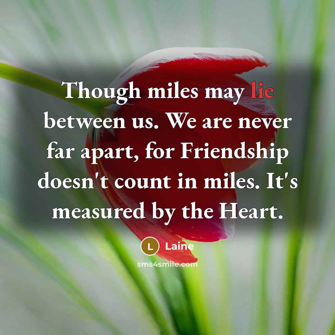 “Though miles may lie between us. We are never far apart, for Friendship doesn't count in miles. It's measured by the Heart.” quote by Laine