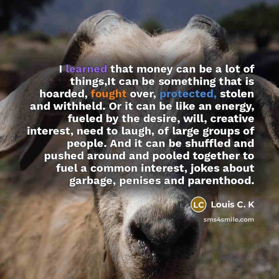 “I learned that money can be a lot of things,It…” quote by Louis C. K