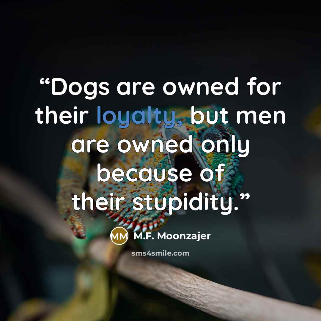 “Dogs are owned for their loyalty, but men are owned only because of their stupidity.” quote by M.F. Moonzajer