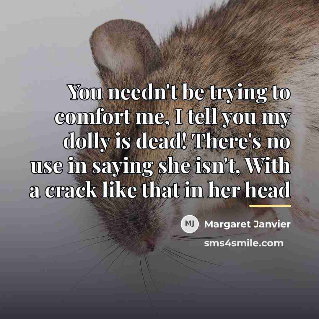 “You needn't be trying to comfort me, I tell you…” quote by Margaret Janvier