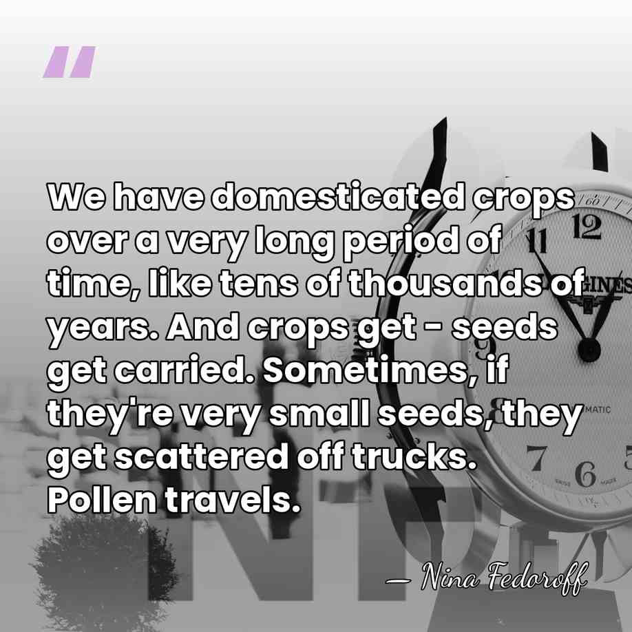 We have domesticated crops over a very long period of time, like&hellip; - Nina Fedoroff