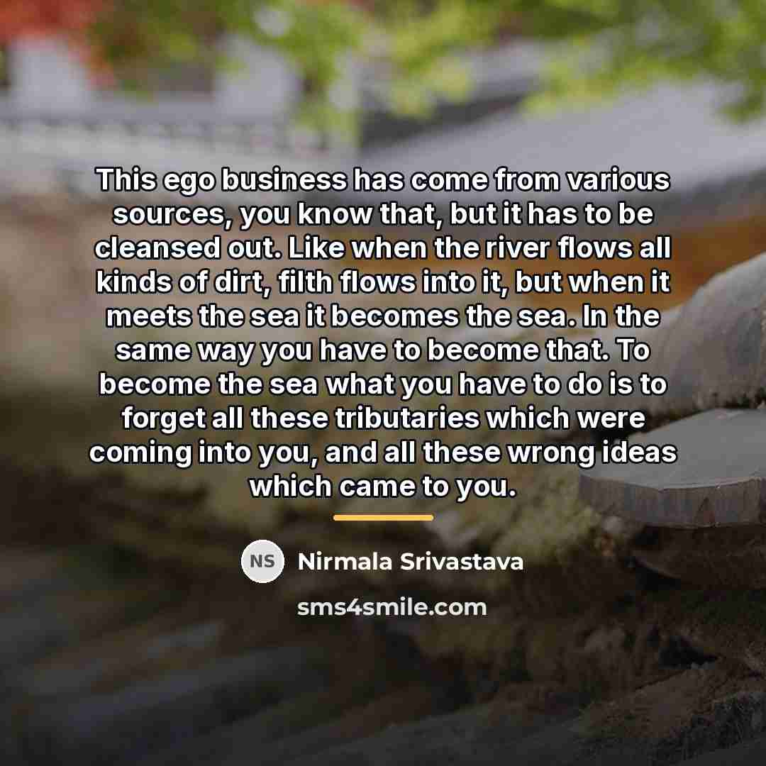 “This ego business has come from various sources, you know…” quote by Nirmala Srivastava