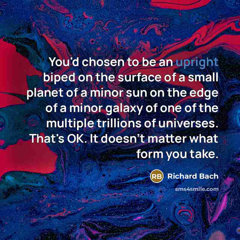 “You'd chosen to be an upright biped on the surface…” quote by Richard Bach
