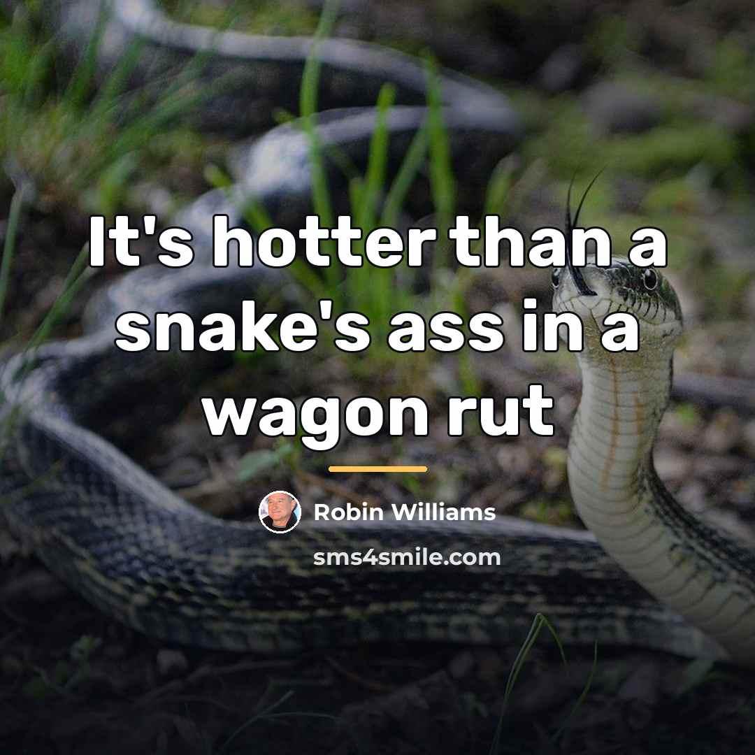 “It's hotter than a snake's ass in a wagon rut…” quote by Robin Williams