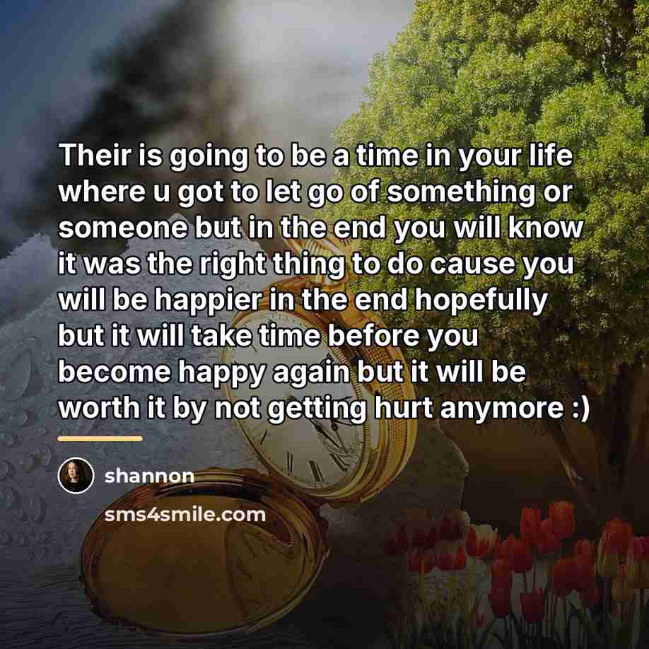 “Their is going to be a time in your life…” quote by Shannon