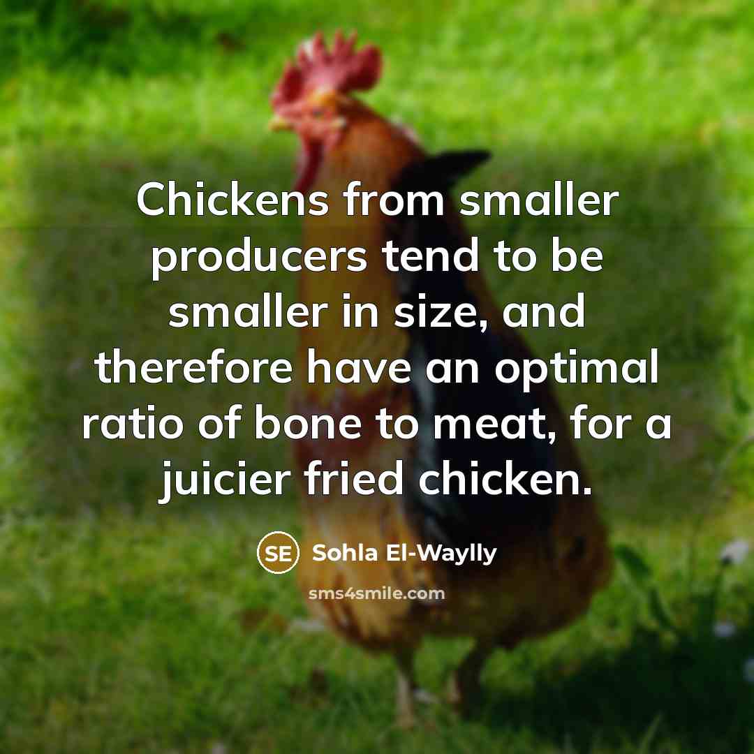 “Chickens from smaller producers tend to be smaller in size,…” quote by Sohla El-Waylly