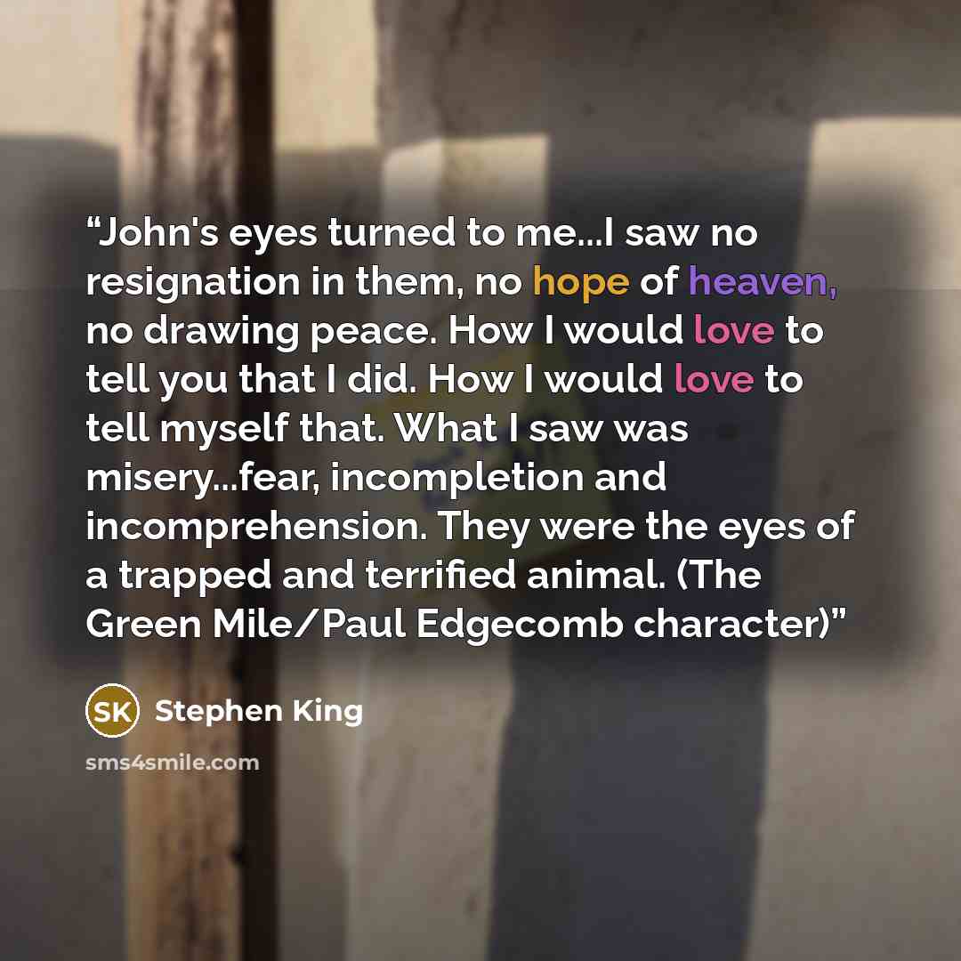 “John's eyes turned to me...I saw no resignation in them, no hope of heaven, no drawing peace. How I would love to tell you that I did. How I would love to tell myself that. What I saw was misery...fear, incompletion and incomprehension. They were the eyes of a trapped and terrified animal. (The…” quote by Stephen King