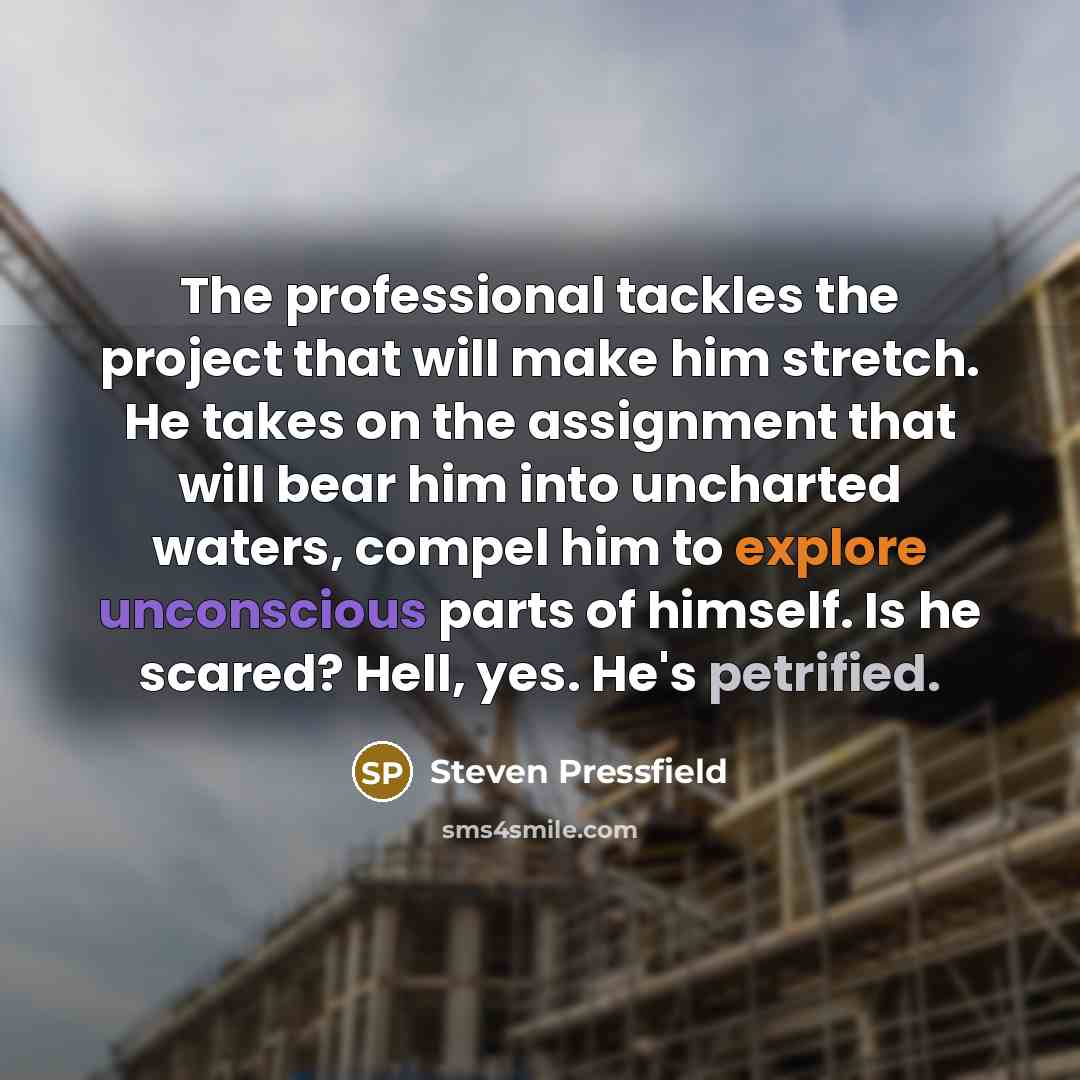 “The professional tackles the project that will make him stretch.…” quote by Steven Pressfield