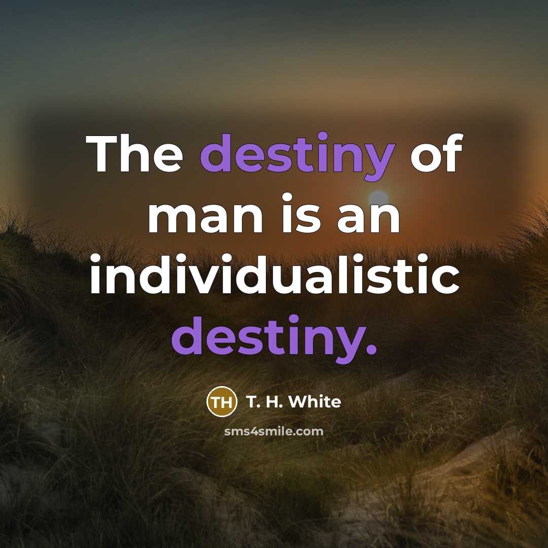 “The destiny of man is an individualistic destiny.…” quote by T. H. White