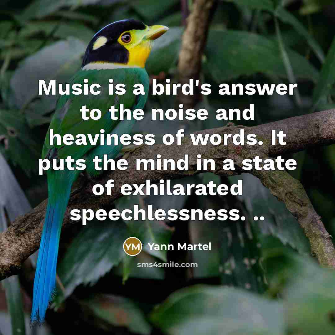 “Music is a bird's answer to the noise and heaviness…” quote by Yann Martel