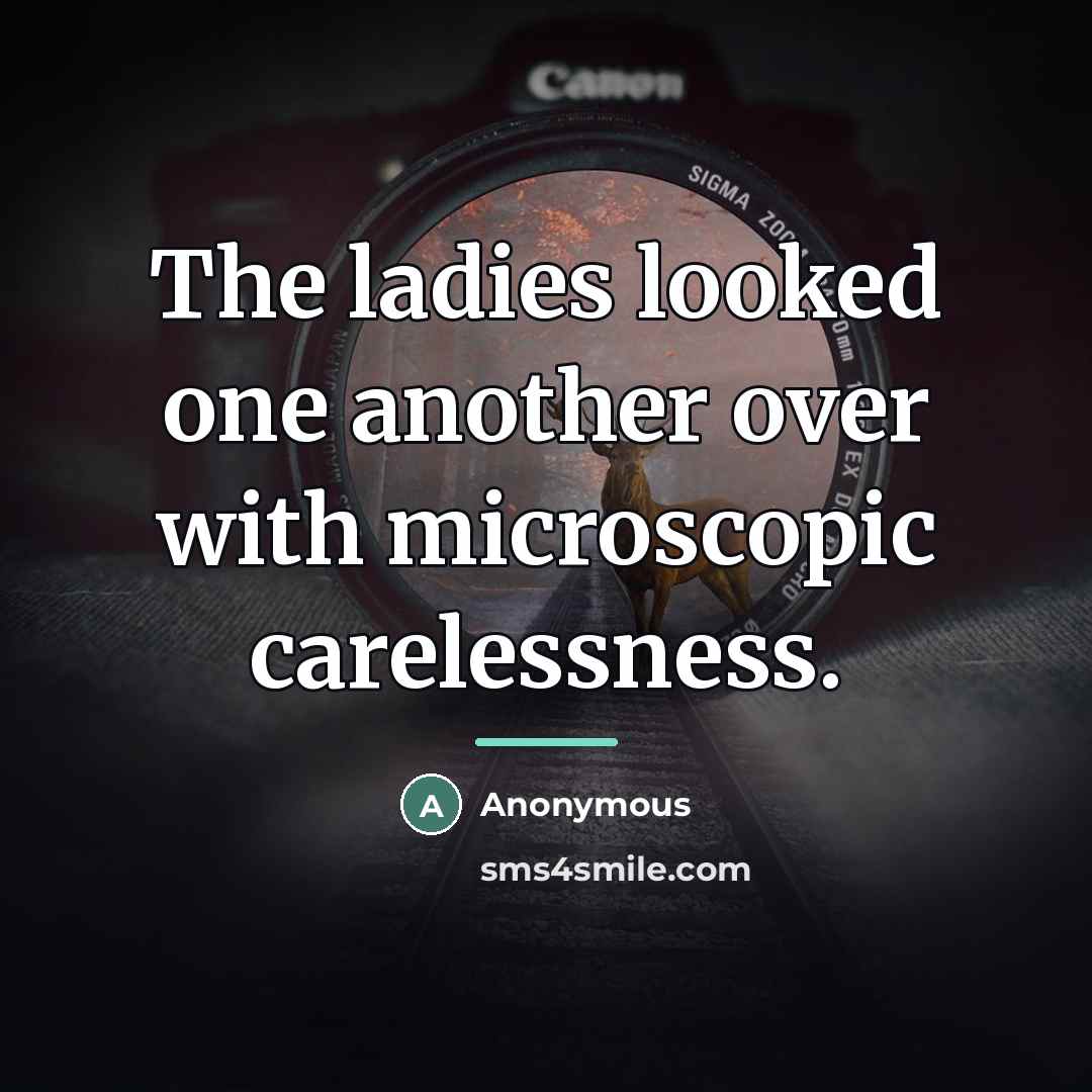 “The ladies looked one another over with microscopic carelessness.…” quote by Anonymous