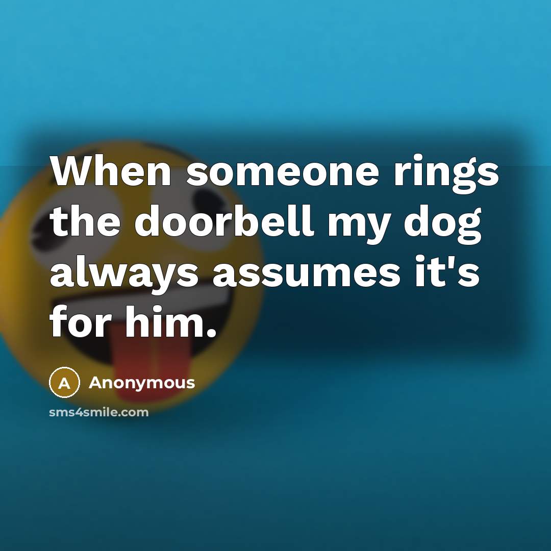 “When someone rings the doorbell my dog always assumes it's…” quote by Anonymous
