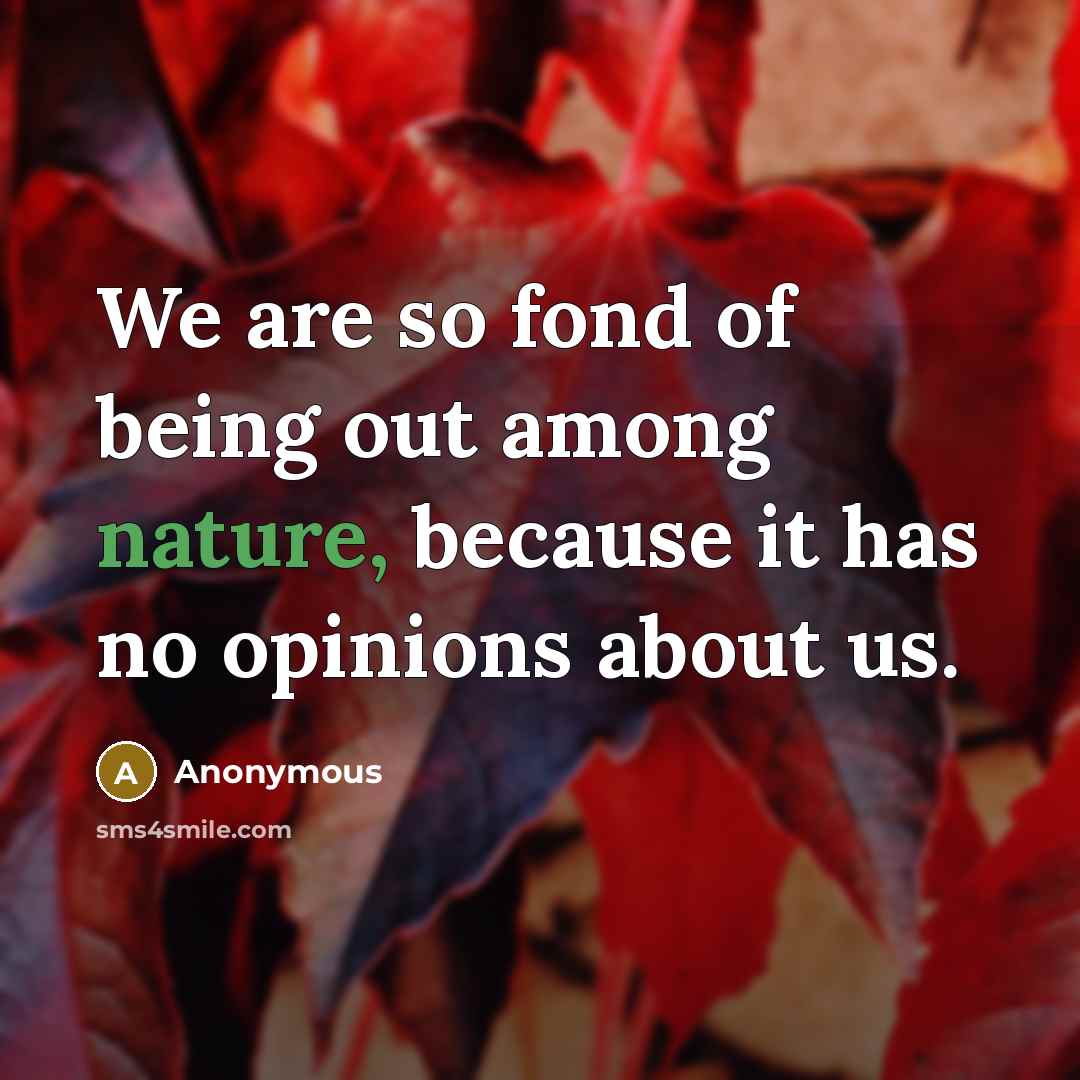 “We are so fond of being out among nature, because it has no opinions about us.” quote by Anonymous