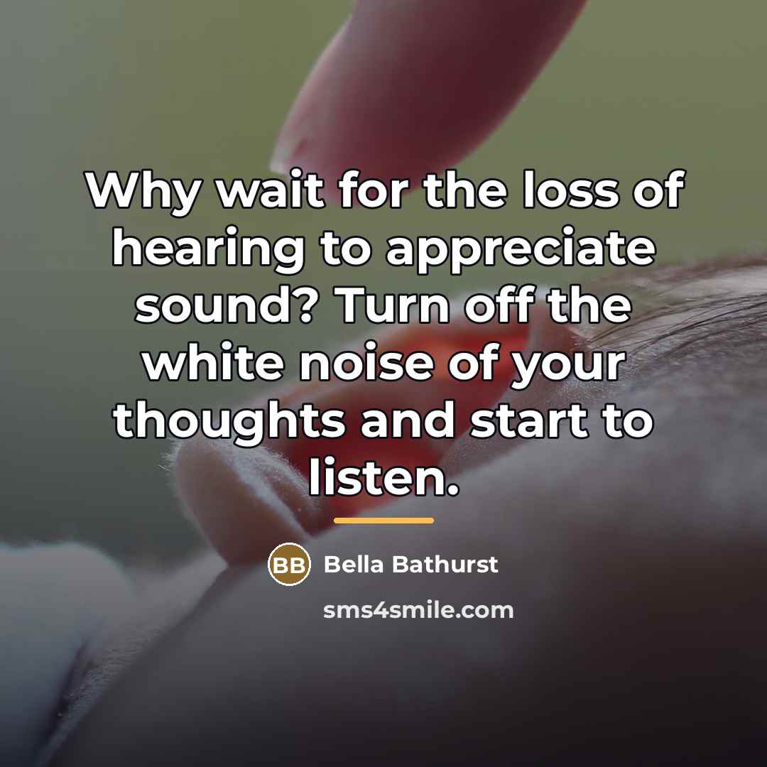 “Why wait for the loss of hearing to appreciate sound?…” quote by Bella Bathurst