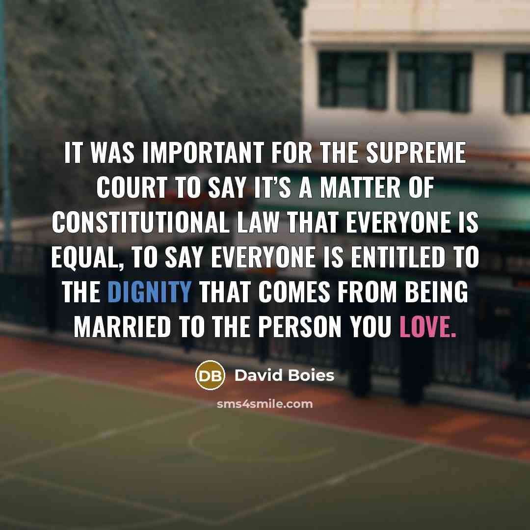 “It was important for the Supreme Court to say it’s…” quote by David Boies