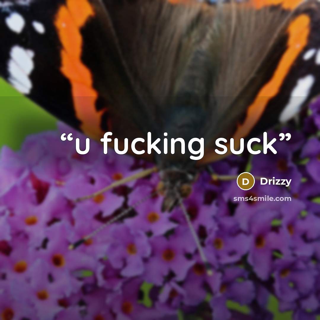 “u fucking suck” quote by Drizzy