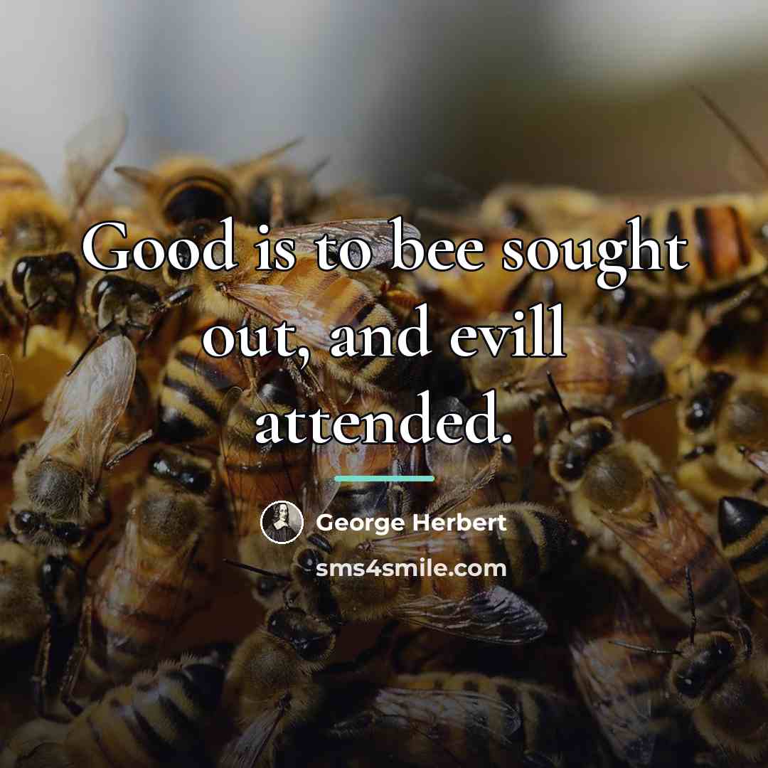 “Good is to bee sought out, and evill attended.…” quote by George Herbert