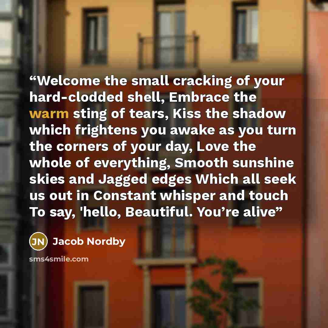 “Welcome the small cracking of your hard-clodded shell, Embrace the warm sting of tears, Kiss the shadow which frightens you awake as you turn the corners of your day, Love the whole of everything, Smooth sunshine skies and Jagged edges Which all seek us out in Constant whisper and touch To say…” quote by Jacob Nordby