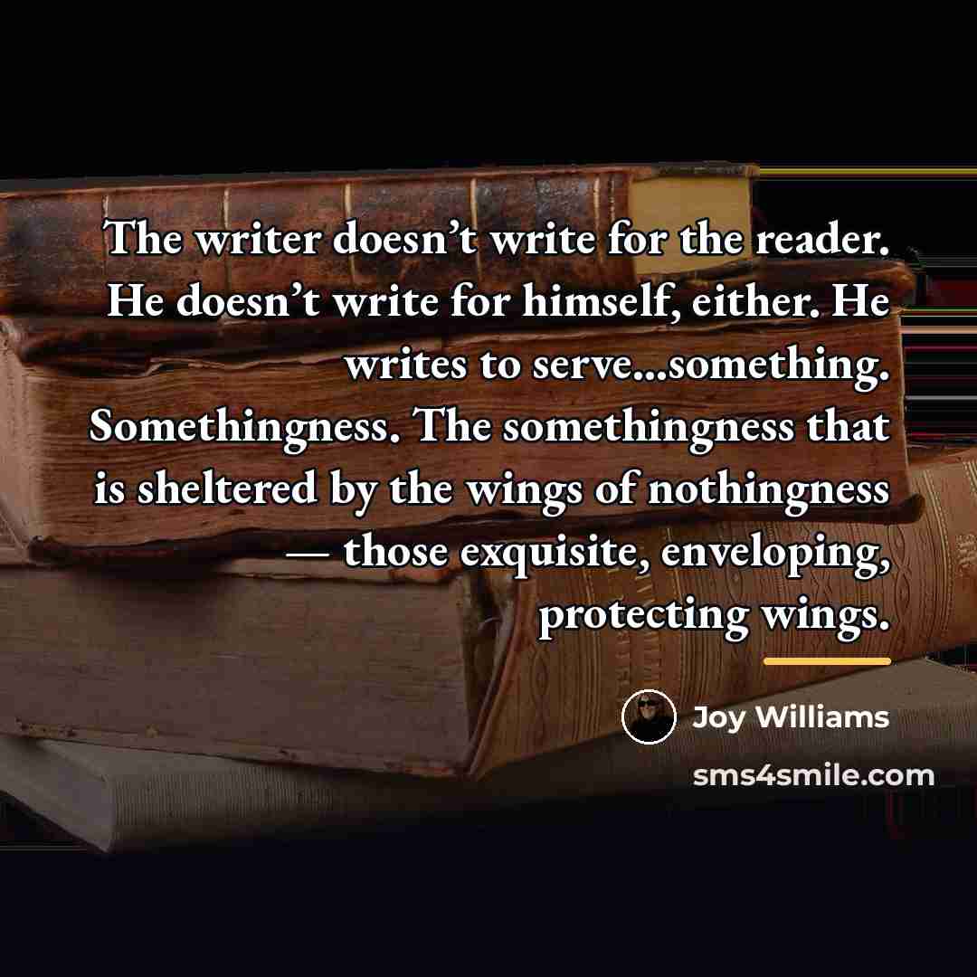 “The writer doesn’t write for the reader. He doesn’t write…” quote by Joy Williams