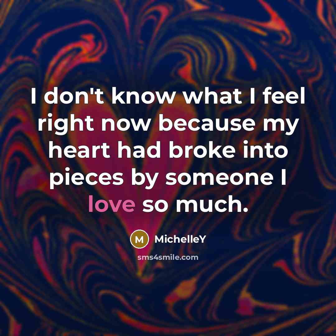 “I don't know what I feel right now because my heart had broke into pieces by someone I love so much.” quote by MichelleY