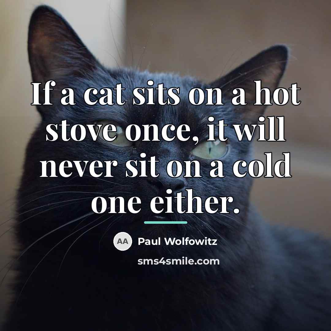 “If a cat sits on a hot stove once, it…” quote by Paul Wolfowitz