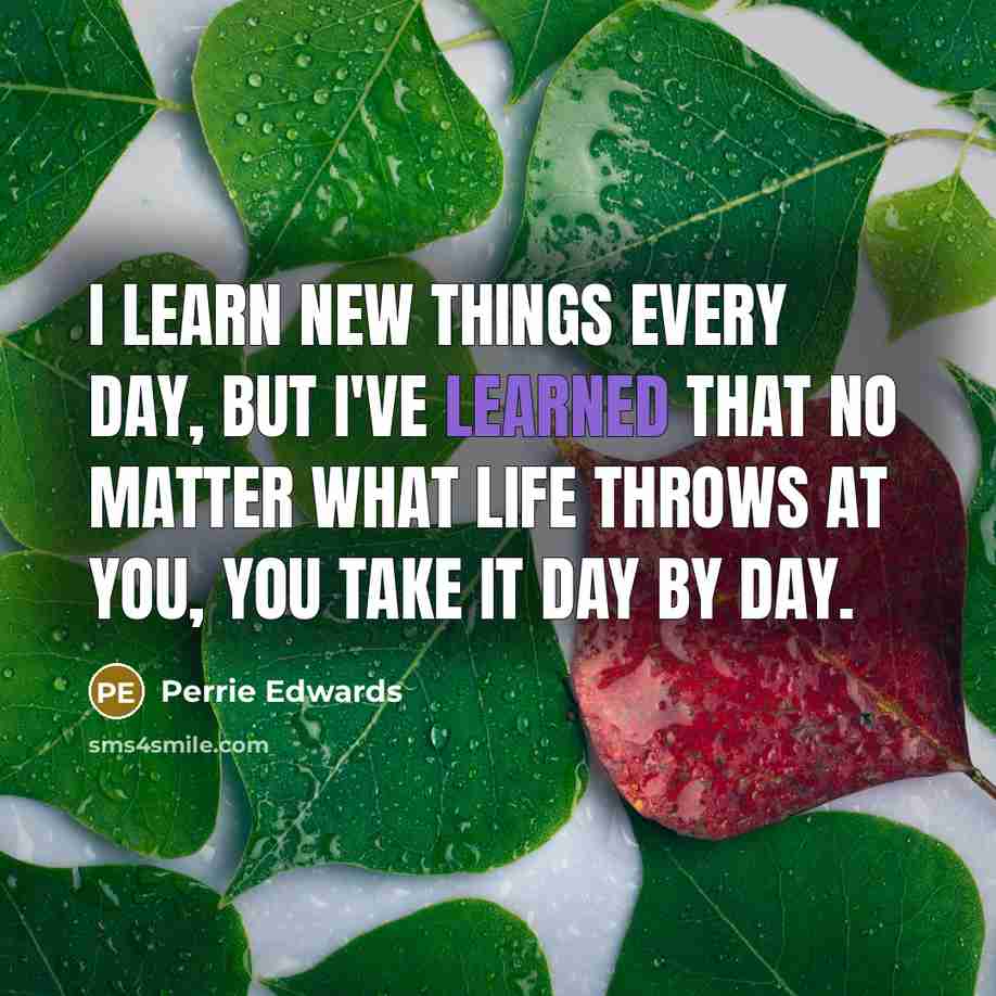 “I learn new things every day, but I've learned that…” quote by Perrie Edwards