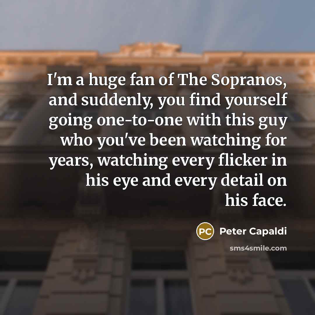 “I'm a huge fan of The Sopranos, and suddenly, you…” quote by Peter Capaldi