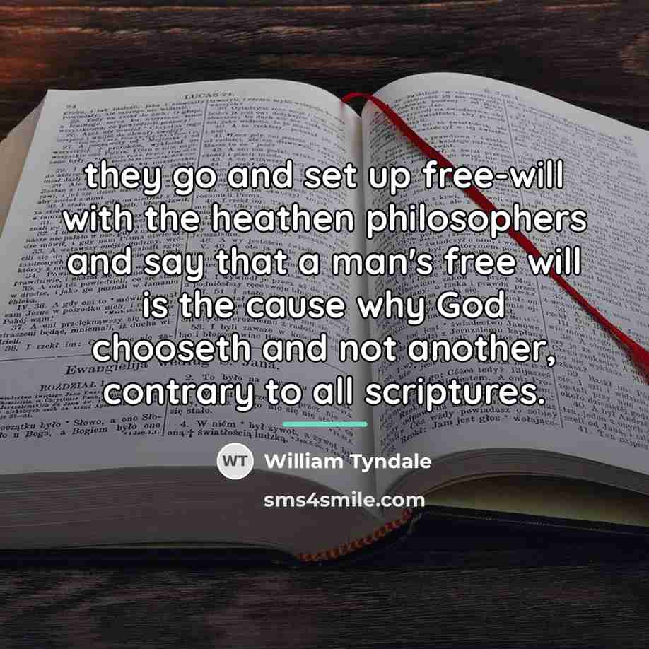 “they go and set up free-will with the heathen philosophers…” quote by William Tyndale