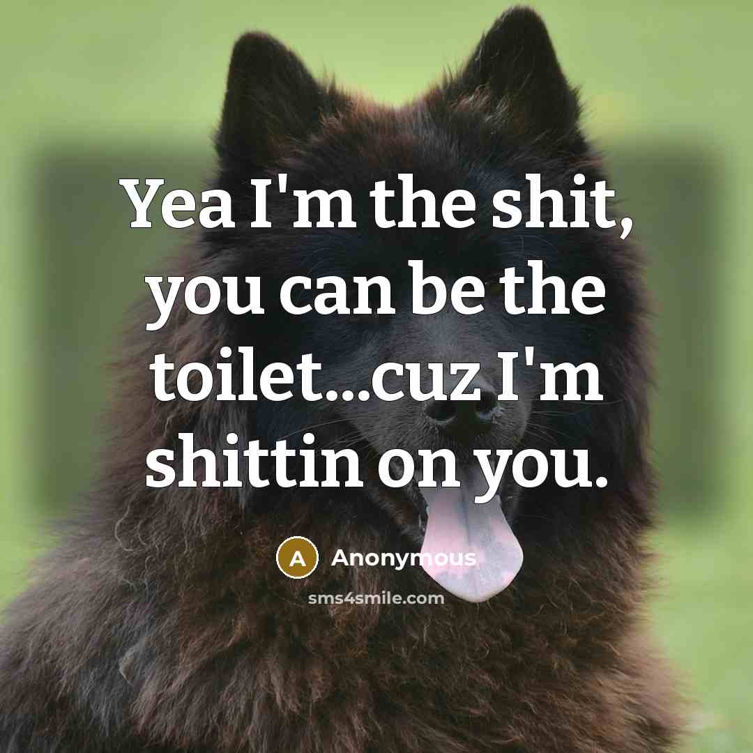 “Yea I'm the shit, you can be the toilet...cuz I'm shittin on you.” quote by Anonymous