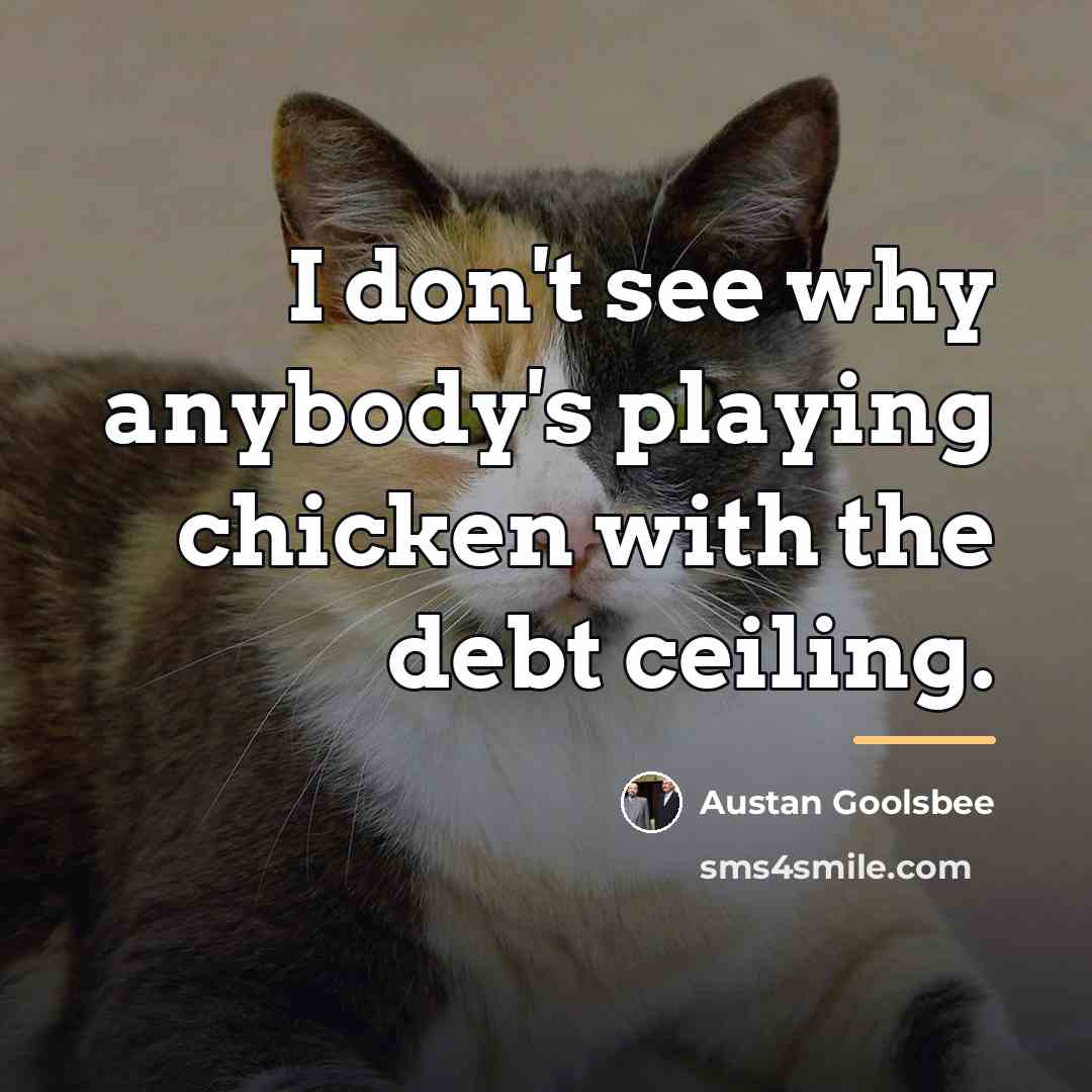 “I don't see why anybody's playing chicken with the debt…” quote by Austan Goolsbee