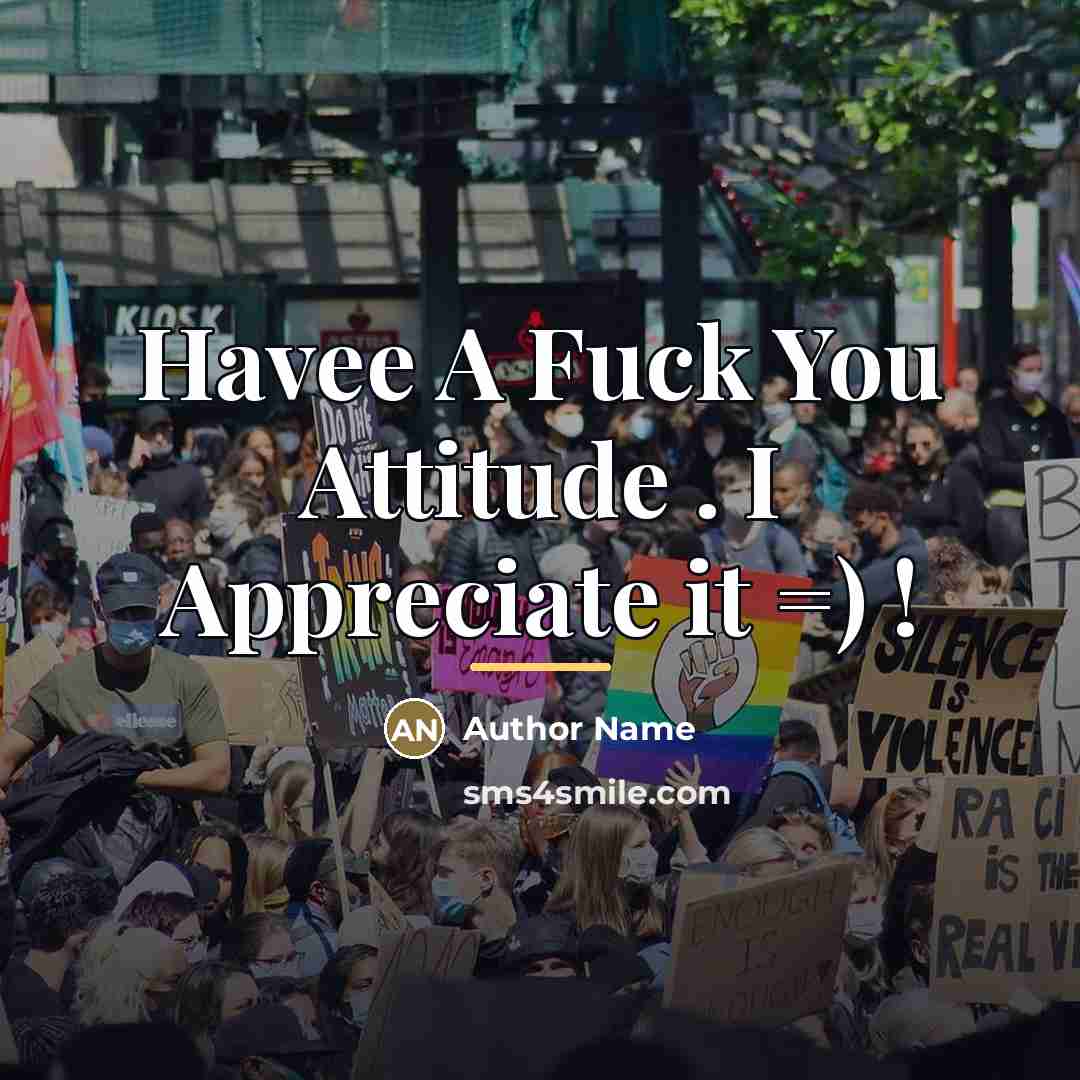 “Havee A Fuck You Attitude . I Appreciate it =)…” quote by Author Name