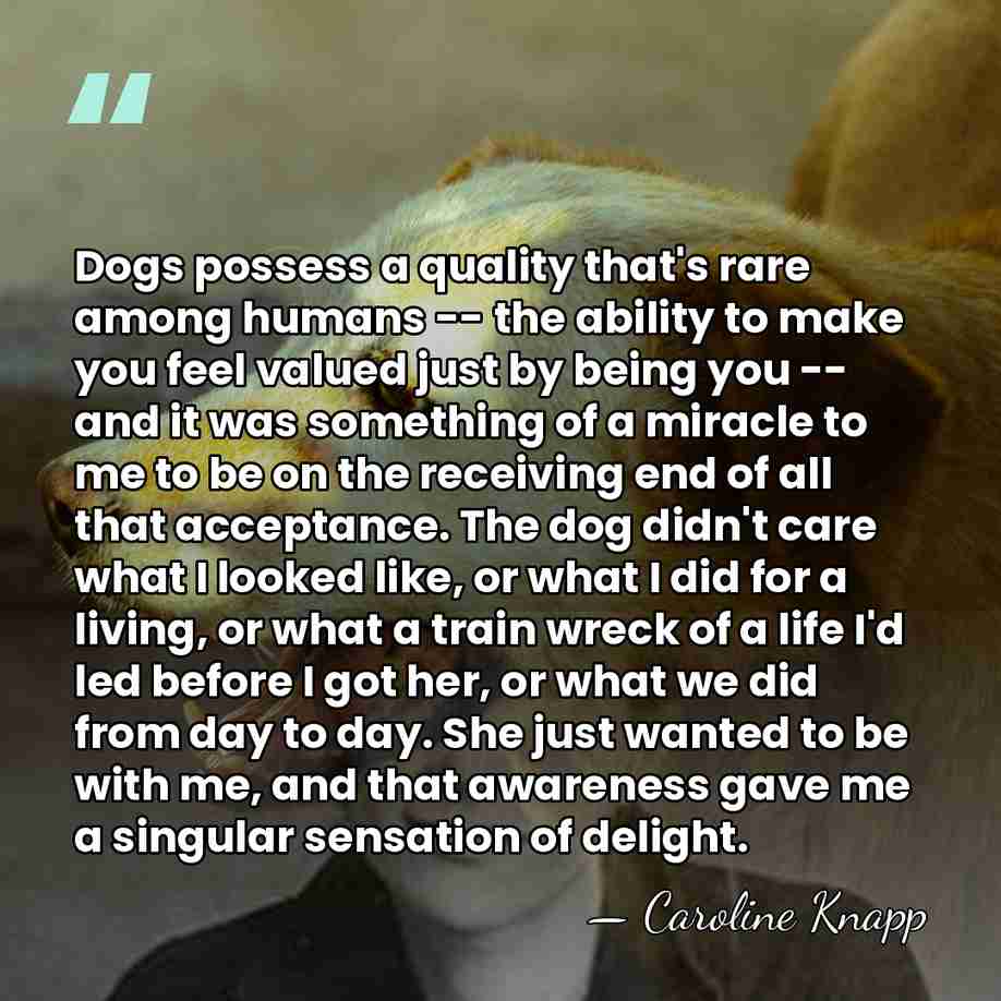 Dogs possess a quality that's rare among humans -- the ability to&hellip; - Caroline Knapp