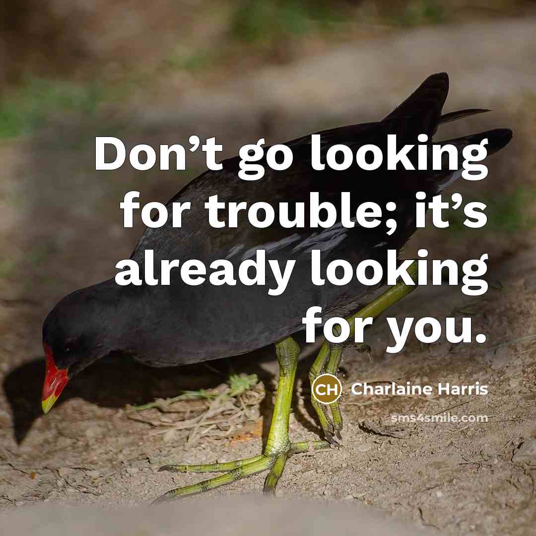 “Don’t go looking for trouble; it’s already looking for you.…” quote by Charlaine Harris