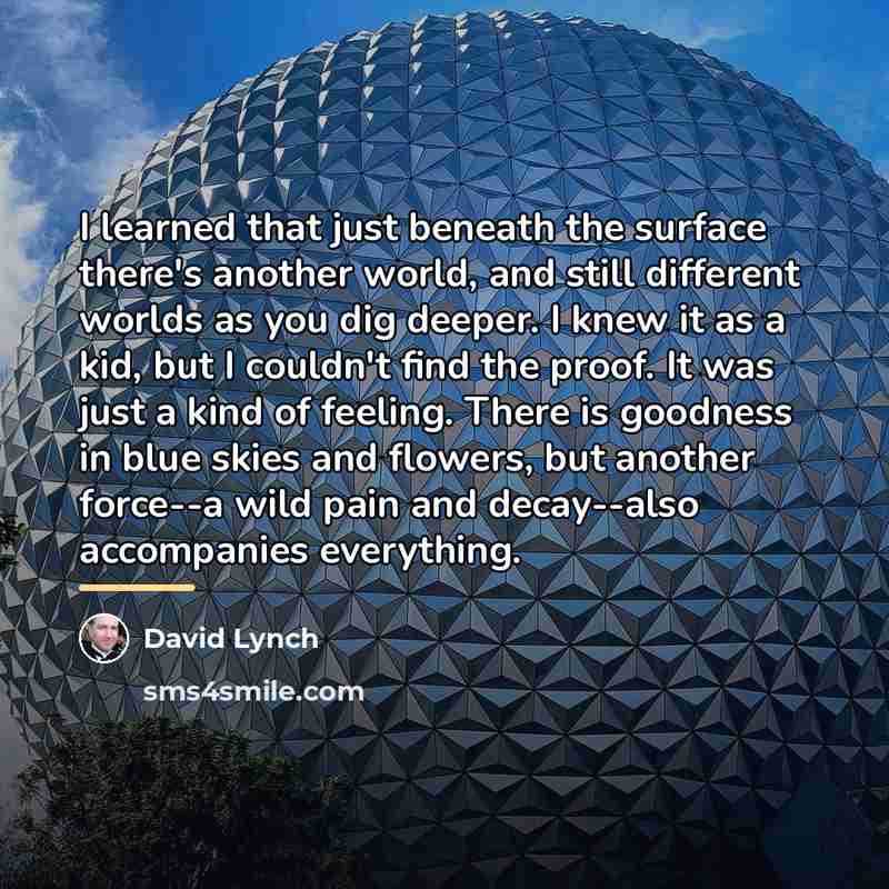“I learned that just beneath the surface there's another world,…” quote by David Lynch