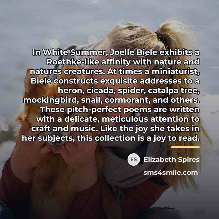 “In White Summer, Joelle Biele exhibits a Roethke-like affinity with…” quote by Elizabeth Spires