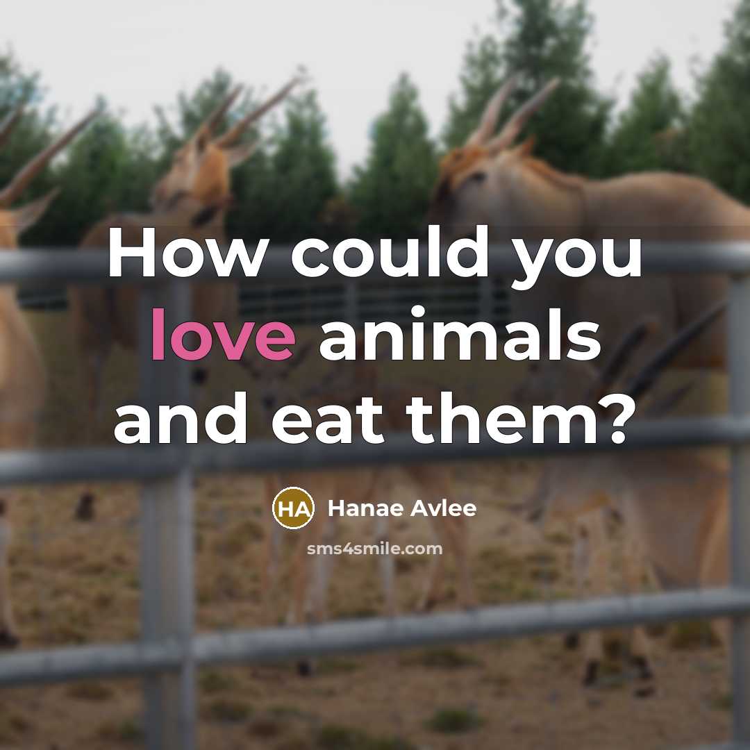“How could you love animals and eat them?…” quote by Hanae Avlee
