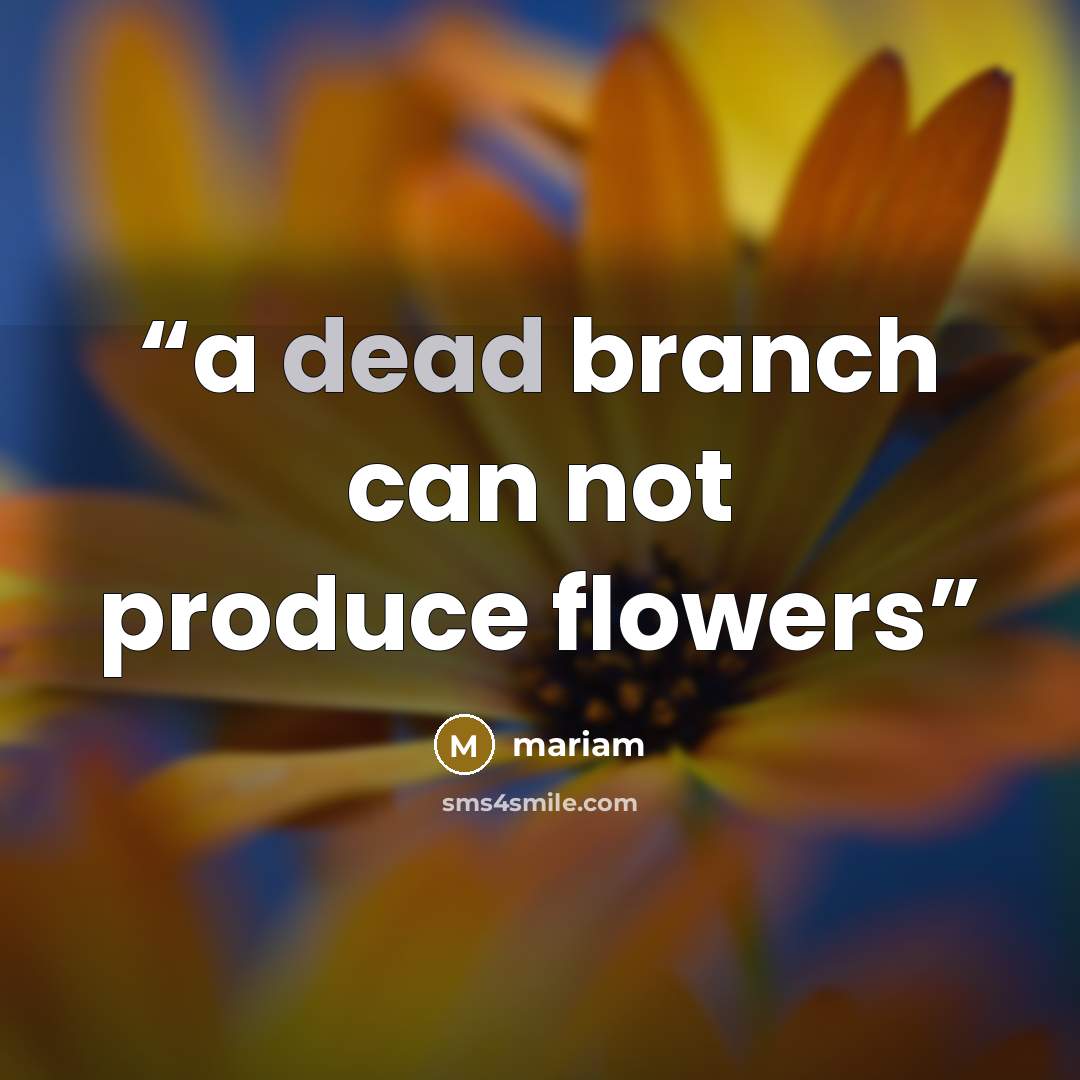 “a dead branch can not produce flowers” quote by mariam