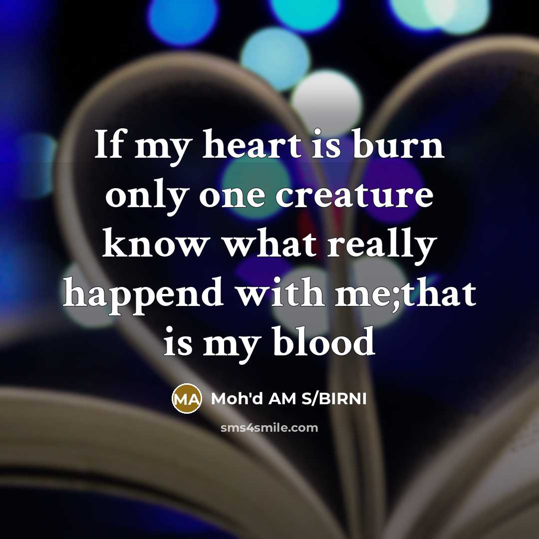 “If my heart is burn only one creature know what really happend with me;that is my blood” quote by Moh'd AM S/BIRNI