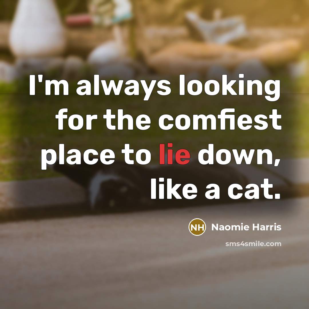 “I'm always looking for the comfiest place to lie down,…” quote by Naomie Harris