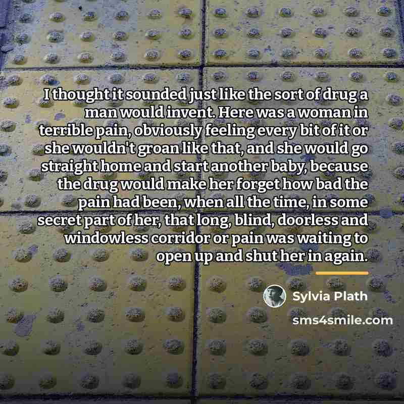 “I thought it sounded just like the sort of drug…” quote by Sylvia Plath