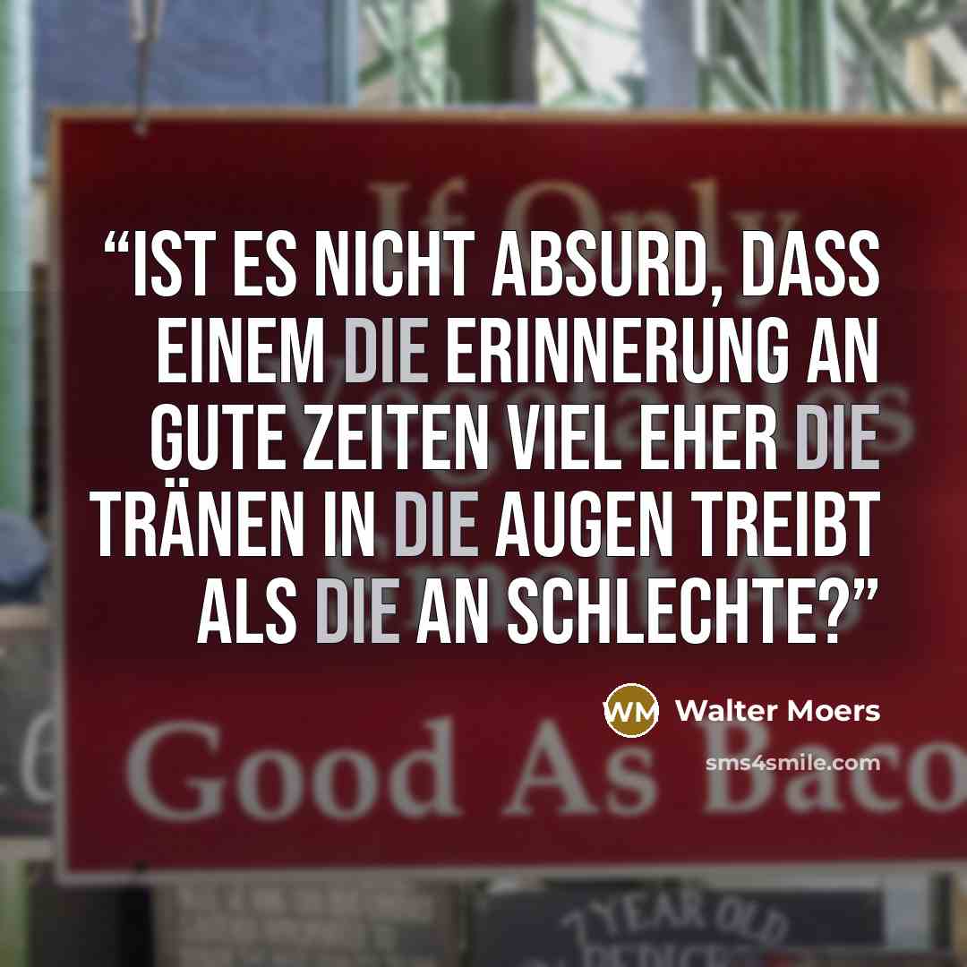 “Ist es nicht absurd, daß einem die Erinnerung an gute zeiten viel eher die Tränen in die Augen treibt als die an schlechte?” quote by Walter Moers