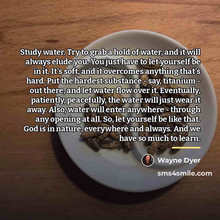 “Study water. Try to grab a hold of water, and…” quote by Wayne Dyer