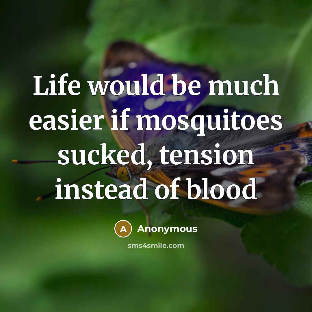 “Life would be much easier if mosquitoes sucked, tension instead…” quote by Anonymous