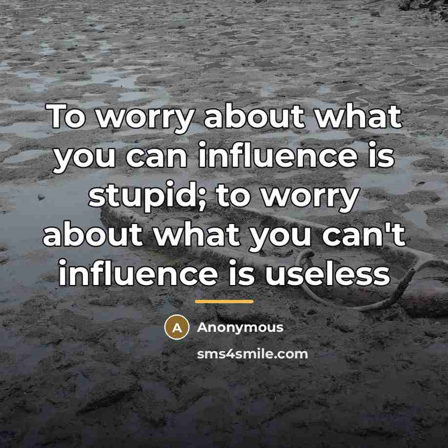 “To worry about what you can influence is stupid; to…” quote by Anonymous