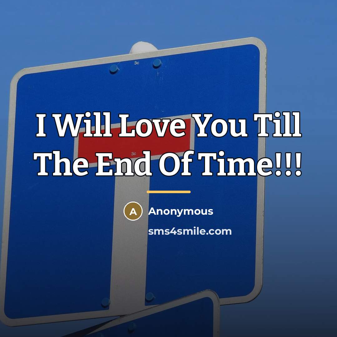 “I Will Love You Till The End Of Time!!!…” quote by Anonymous