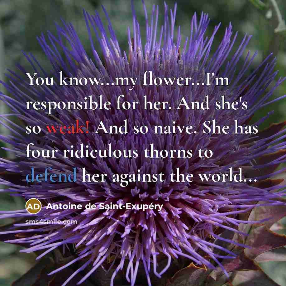 “You know...my flower...I'm responsible for her. And she's so weak!…” quote by Antoine de Saint-Exupery