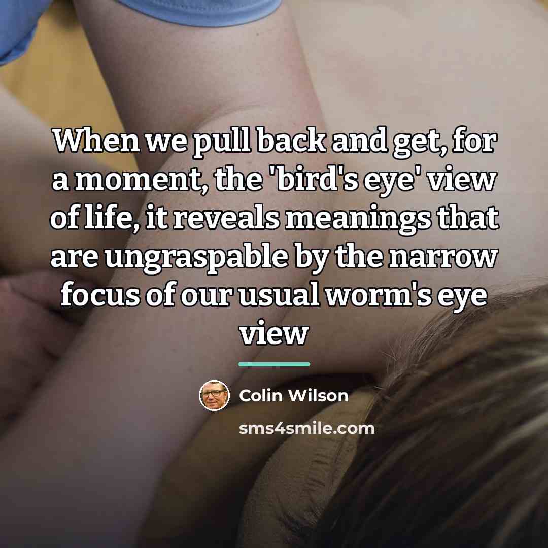 “When we pull back and get, for a moment, the…” quote by Colin Wilson