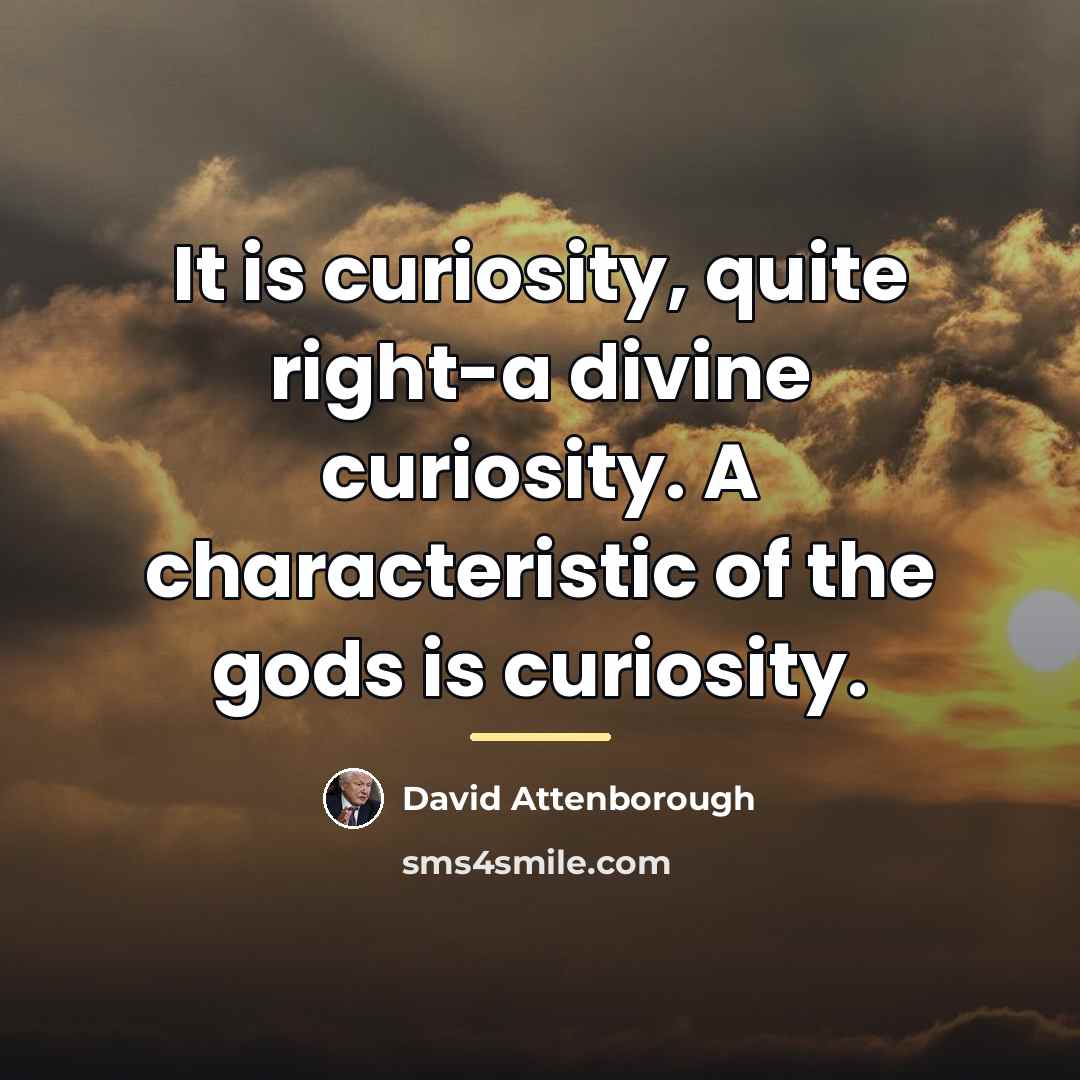 “It is curiosity, quite right-a divine curiosity. A characteristic of…” quote by David Attenborough