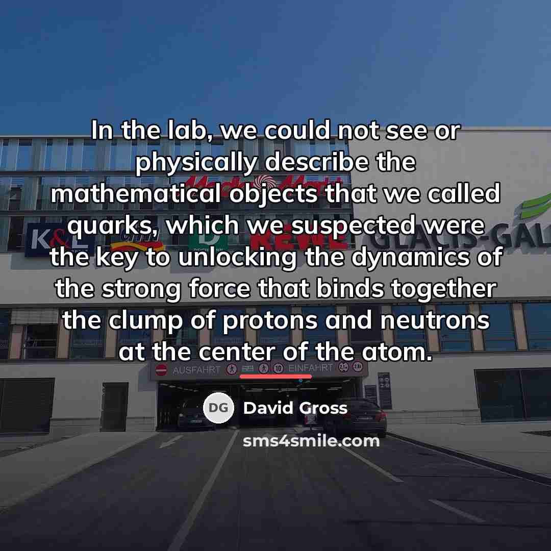 “In the lab, we could not see or physically describe…” quote by David Gross