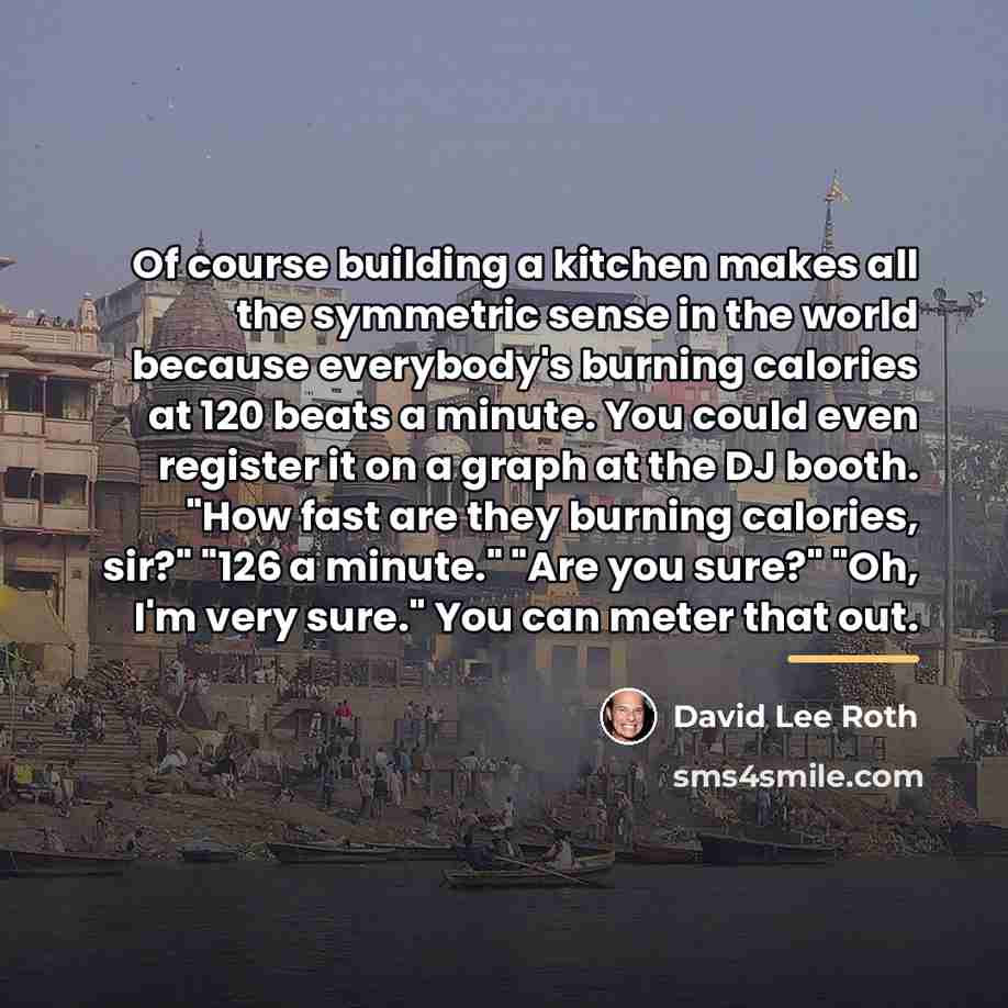 “Of course building a kitchen makes all the symmetric sense…” quote by David Lee Roth